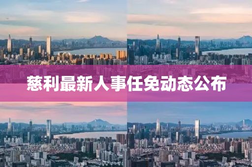 慈利最新人事任免动态公布