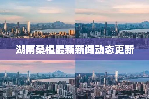 湖南桑植最新新闻动态更新