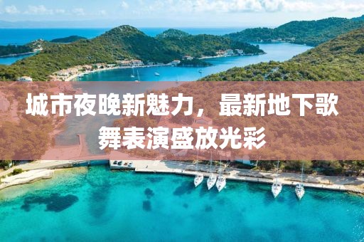 城市夜晚新魅力，最新地下歌舞表演盛放光彩