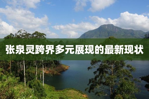 张泉灵跨界多元展现的最新现状