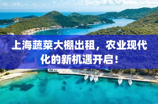 上海蔬菜大棚出租，农业现代化的新机遇开启！