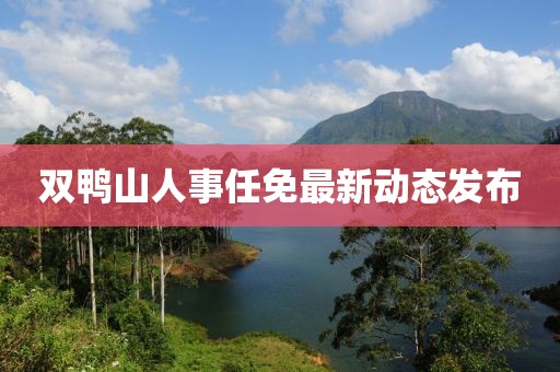 双鸭山人事任免最新动态发布