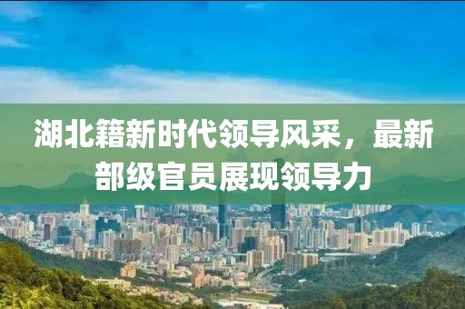 湖北籍新时代领导风采，最新部级官员展现领导力