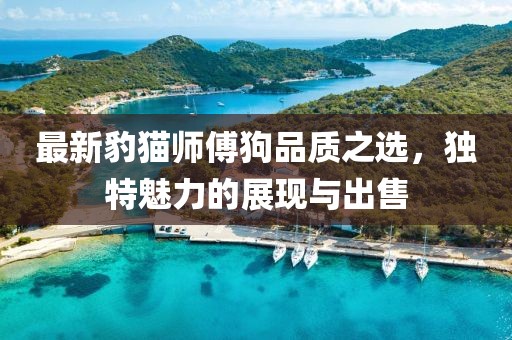 最新豹猫师傅狗品质之选，独特魅力的展现与出售