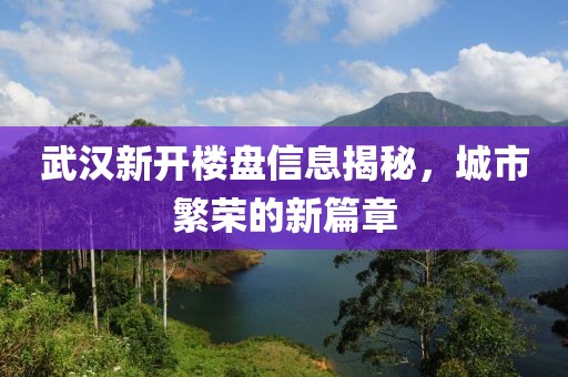 武汉新开楼盘信息揭秘，城市繁荣的新篇章