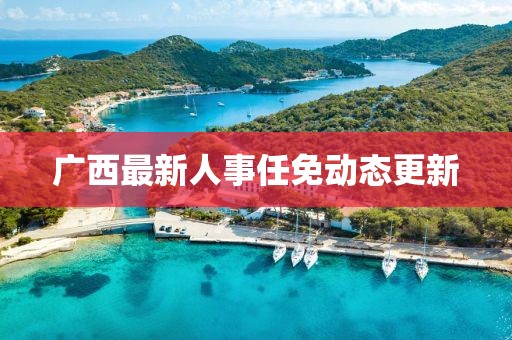 广西最新人事任免动态更新