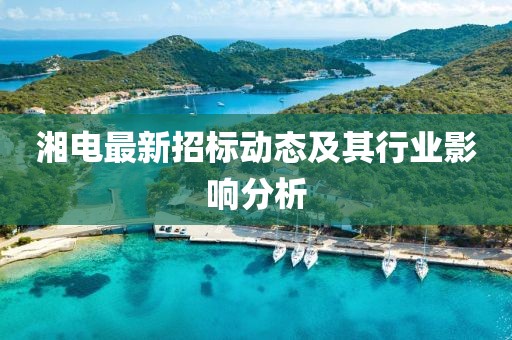 湘电最新招标动态及其行业影响分析