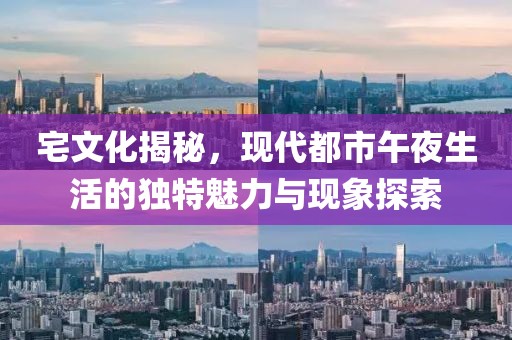 宅文化揭秘，现代都市午夜生活的独特魅力与现象探索