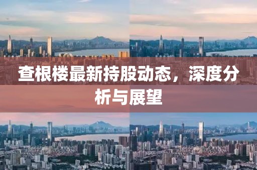 查根楼最新持股动态，深度分析与展望
