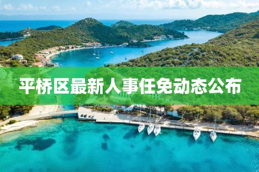 平桥区最新人事任免动态公布
