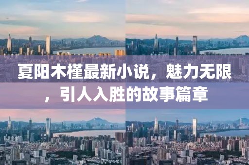 夏阳木槿最新小说，魅力无限，引人入胜的故事篇章