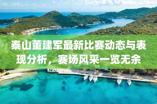 泰山董建军最新比赛动态与表现分析，赛场风采一览无余