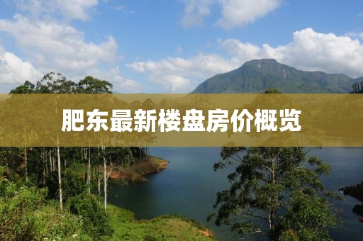 肥东最新楼盘房价概览