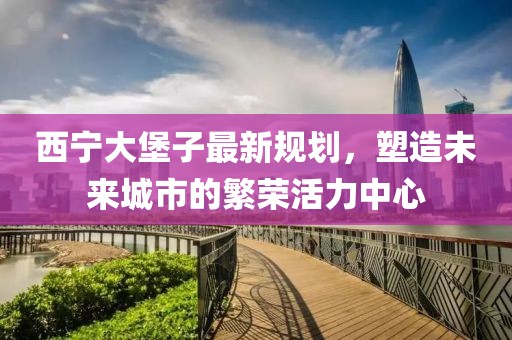 西宁大堡子最新规划，塑造未来城市的繁荣活力中心