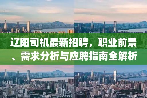 辽阳司机最新招聘，职业前景、需求分析与应聘指南全解析