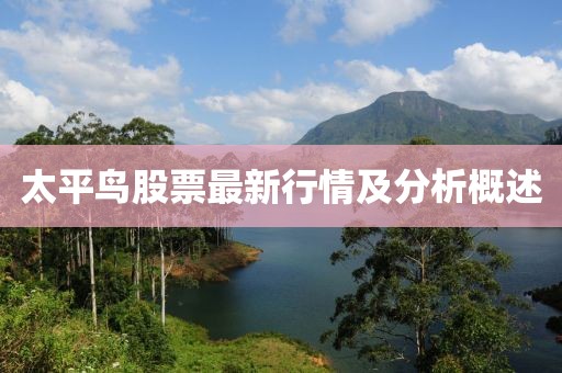 太平鸟股票最新行情及分析概述