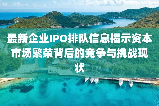 最新企业IPO排队信息揭示资本市场繁荣背后的竞争与挑战现状