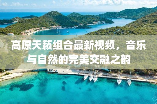 高原天籁组合最新视频，音乐与自然的完美交融之韵
