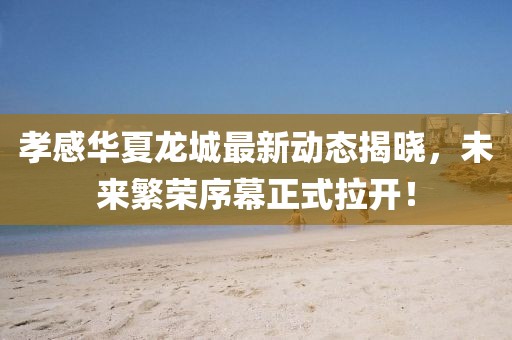 孝感华夏龙城最新动态揭晓，未来繁荣序幕正式拉开！