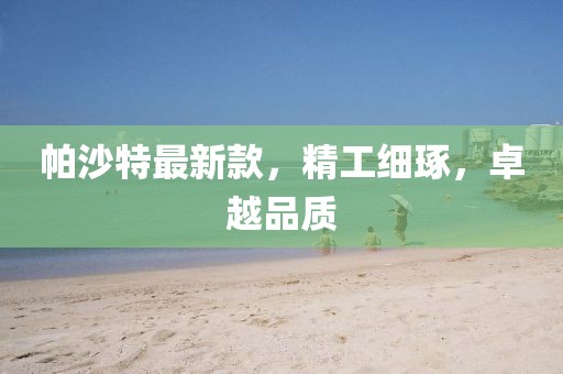 帕沙特最新款，精工细琢，卓越品质