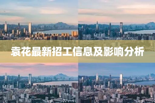 袁花最新招工信息及影响分析