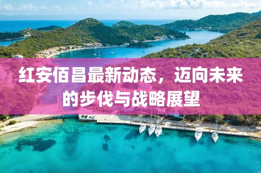红安佰昌最新动态，迈向未来的步伐与战略展望