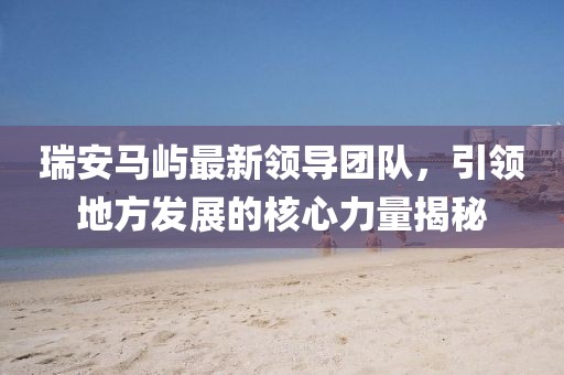 瑞安马屿最新领导团队，引领地方发展的核心力量揭秘