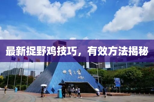 最新捉野鸡技巧，有效方法揭秘
