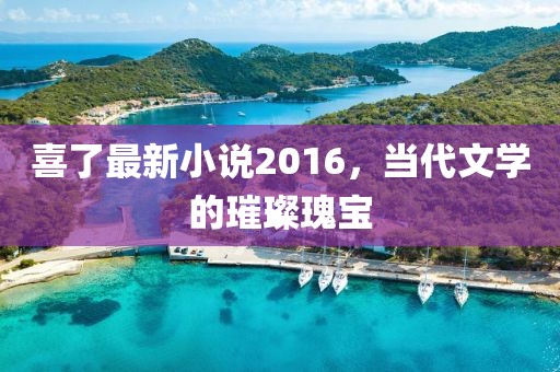 喜了最新小说2016，当代文学的璀璨瑰宝