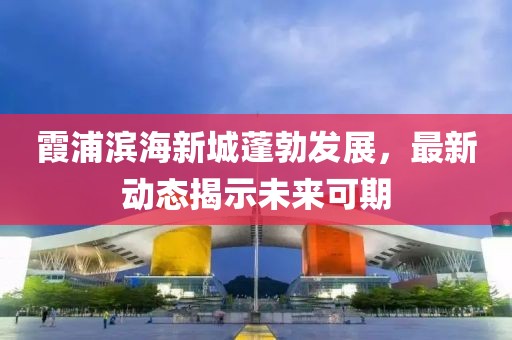 霞浦滨海新城蓬勃发展，最新动态揭示未来可期