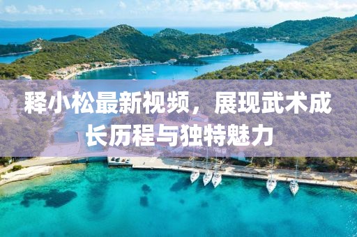 释小松最新视频，展现武术成长历程与独特魅力