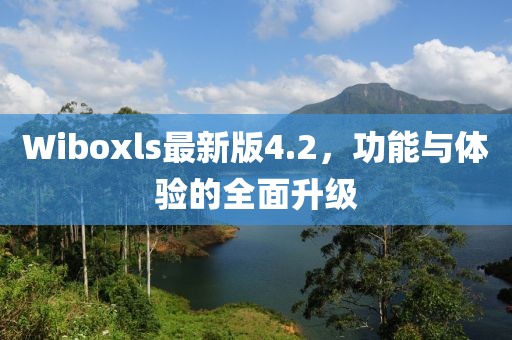 Wiboxls最新版4.2，功能与体验的全面升级