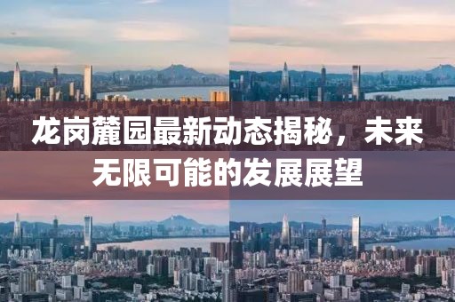 龙岗麓园最新动态揭秘，未来无限可能的发展展望