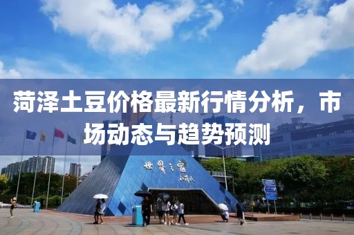 菏泽土豆价格最新行情分析，市场动态与趋势预测