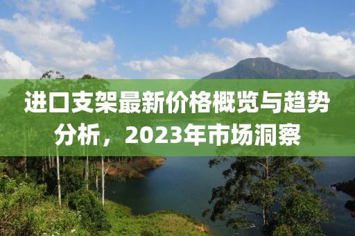 进口支架最新价格概览与趋势分析，2023年市场洞察