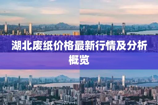 湖北废纸价格最新行情及分析概览