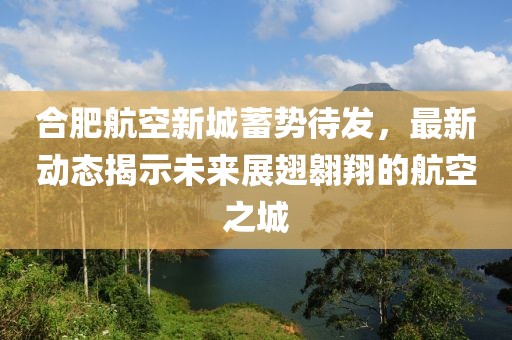 合肥航空新城蓄势待发，最新动态揭示未来展翅翱翔的航空之城