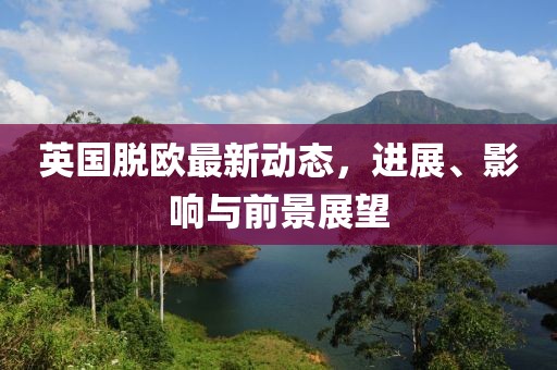 英国脱欧最新动态，进展、影响与前景展望