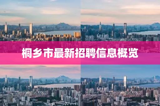 桐乡市最新招聘信息概览