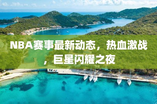 NBA赛事最新动态，热血激战，巨星闪耀之夜