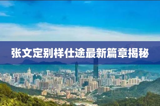 张文定别样仕途最新篇章揭秘