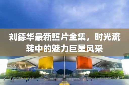 刘德华最新照片全集，时光流转中的魅力巨星风采