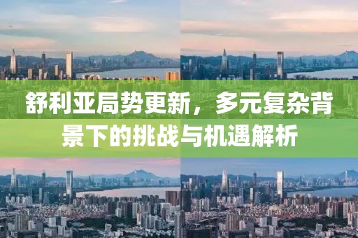 舒利亚局势更新，多元复杂背景下的挑战与机遇解析