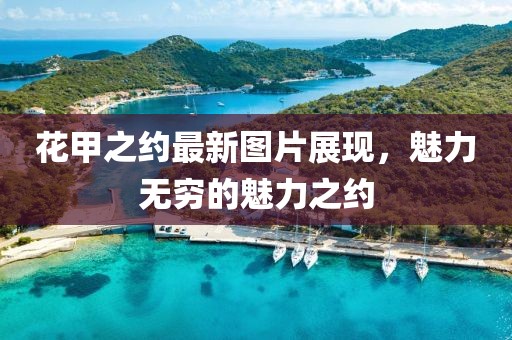 花甲之约最新图片展现，魅力无穷的魅力之约