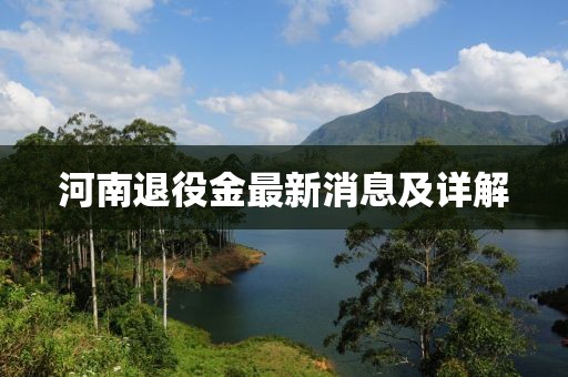 河南退役金最新消息及详解