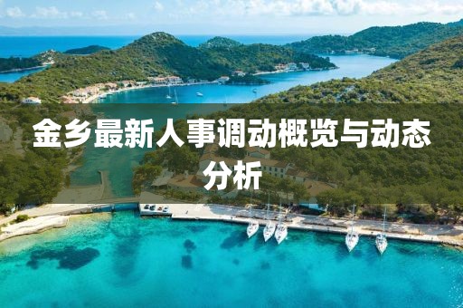 金乡最新人事调动概览与动态分析