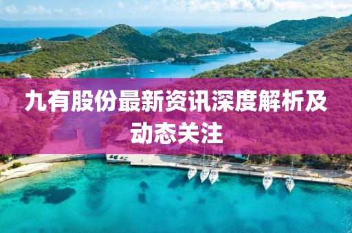 九有股份最新资讯深度解析及动态关注