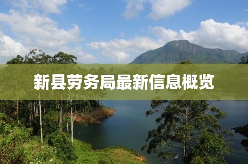 新县劳务局最新信息概览