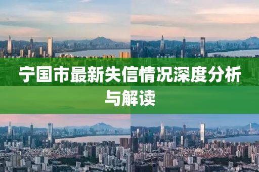 宁国市最新失信情况深度分析与解读