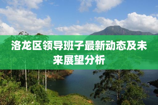 洛龙区领导班子最新动态及未来展望分析